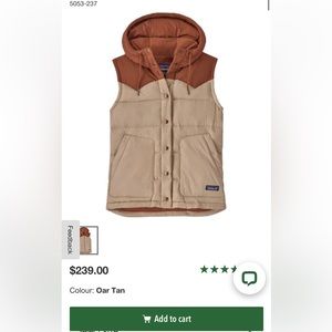 Patagonia bivy down vest